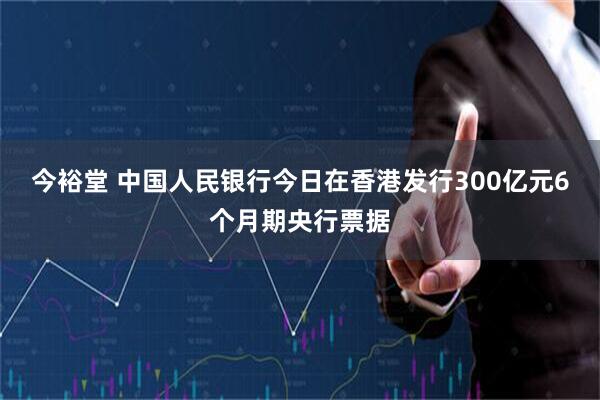 今裕堂 中国人民银行今日在香港发行300亿元6个月期央行票据