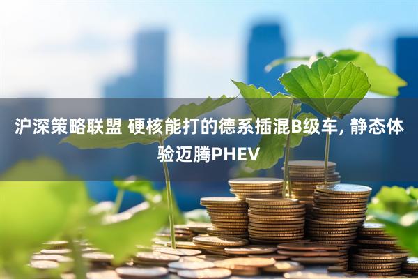 沪深策略联盟 硬核能打的德系插混B级车, 静态体验迈腾PHEV